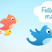Twitter – follow the flock