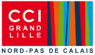 CCI Lille – Médias Sociaux