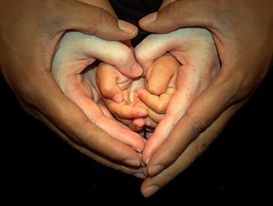 Multi-generational hands heart shaped